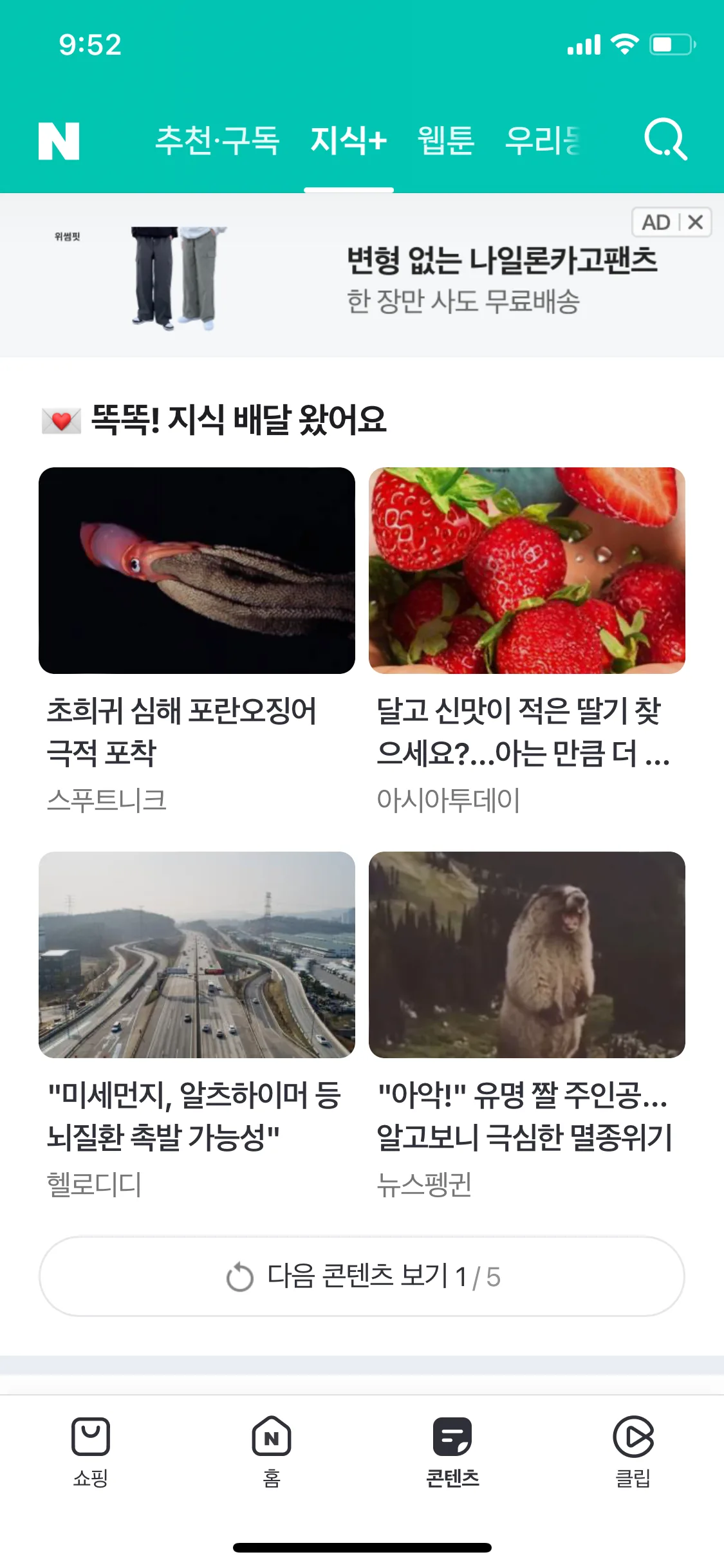Test Image 53
